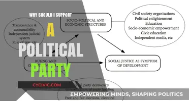 Why Supporting a Political Party Strengthens Democracy and Shapes Society