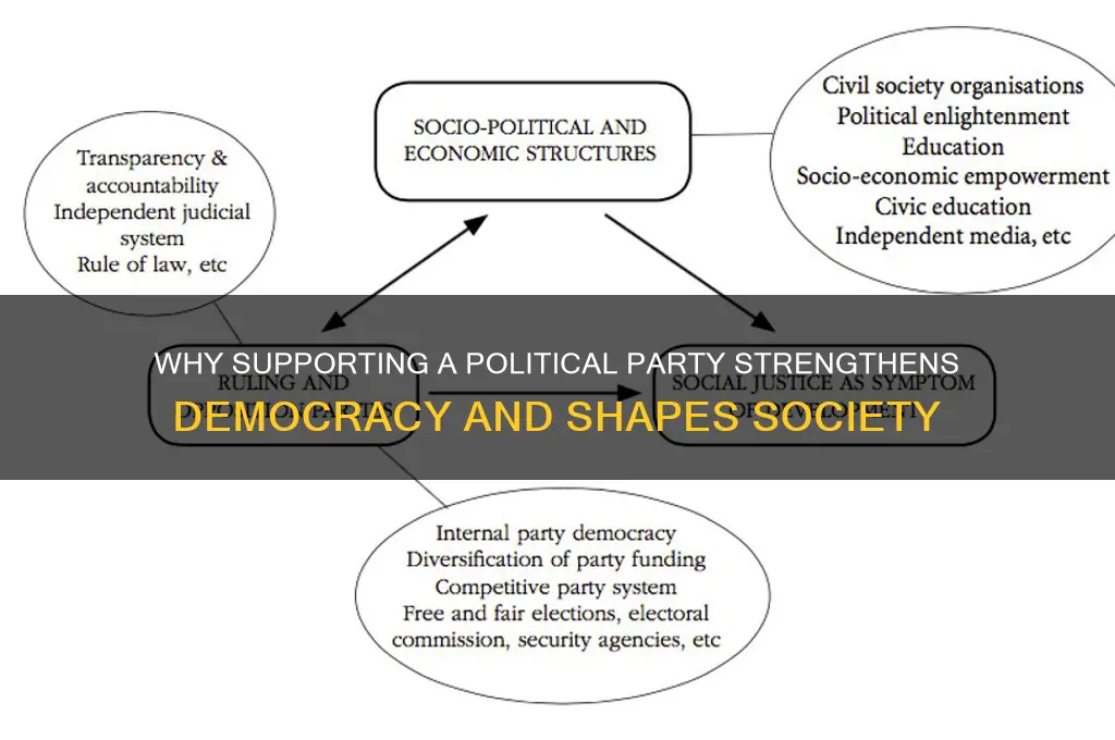 why should i support a political party