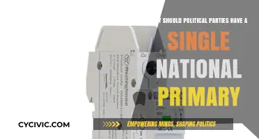 Uniting the Vote: The Case for a Single National Primary