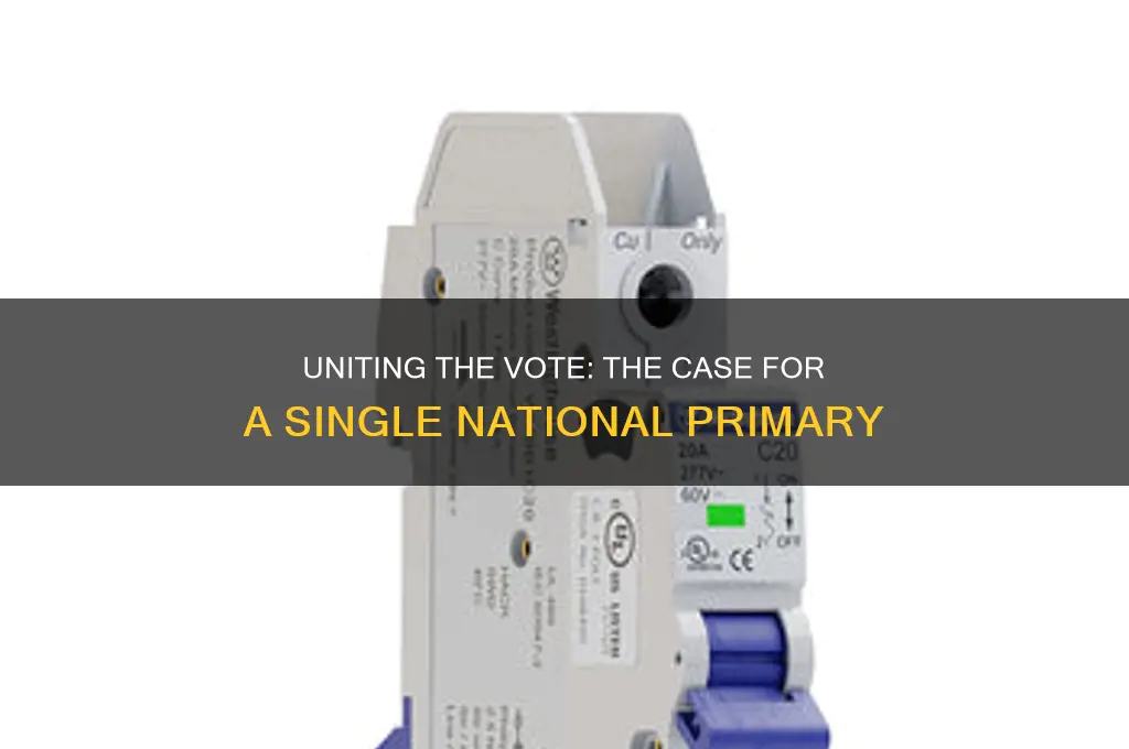 why should political parties have a single national primary