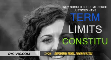 Term Limits for Supreme Court Justices: A Constitutional Debate