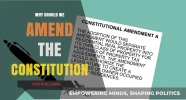 Amending the Constitution: Adapting to a Changing World