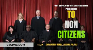 Non-Citizen Rights: Constitutional Protections for All