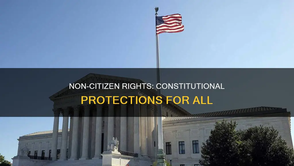 why should we give constitutional protections to non citizens