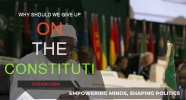 The Constitution: Time to Move On?