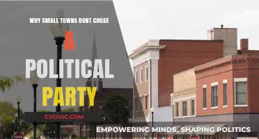 Small Towns, Big Independence: Why Partisanship Often Takes a Backseat