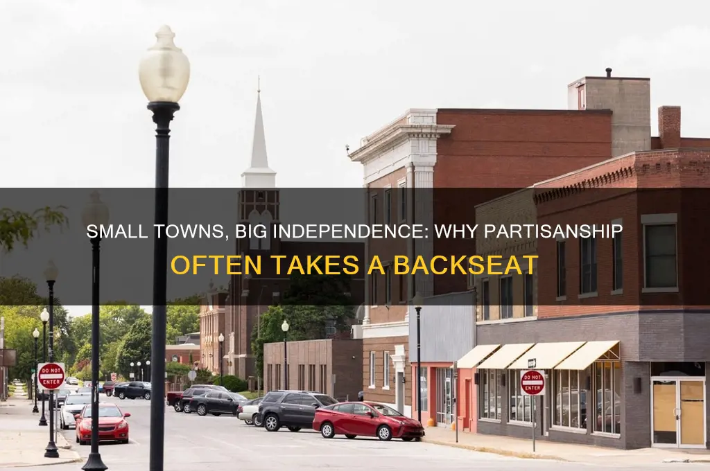 why small towns dont chose a political party