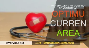 Smaller Units: Currency Area's Instability