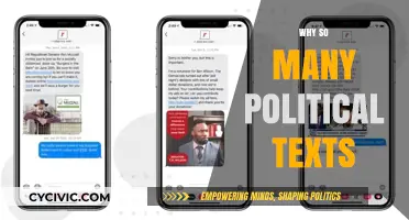 Why the Surge in Political Texts? Understanding the Messaging Boom