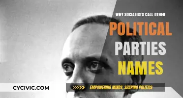 Why Socialists Label Opponents: Unpacking the Name-Calling in Politics