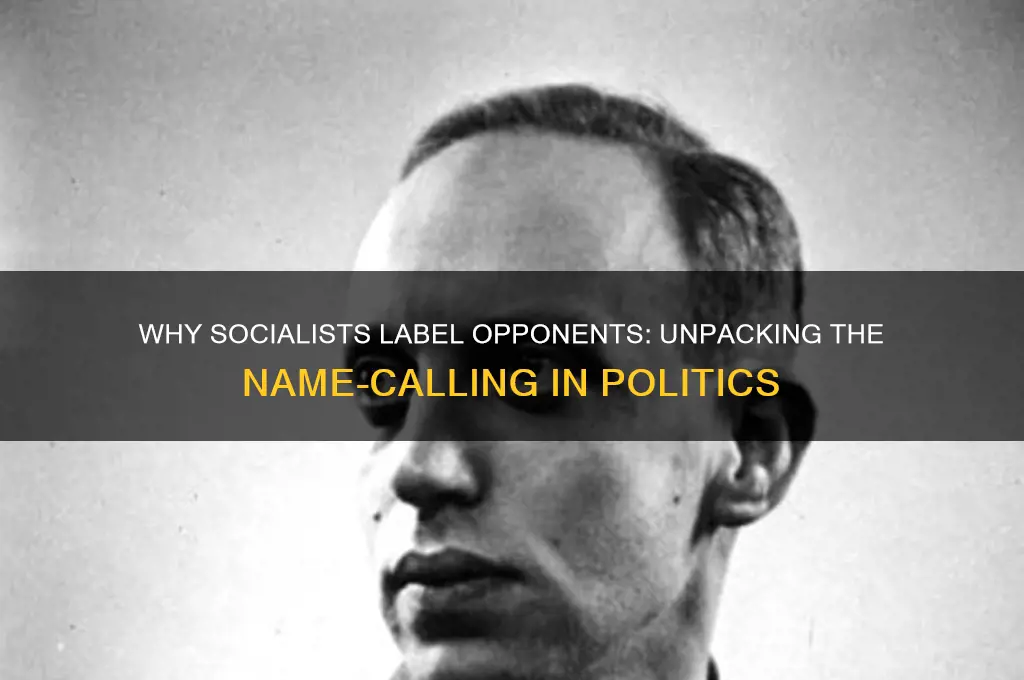 why socialists call other political parties names
