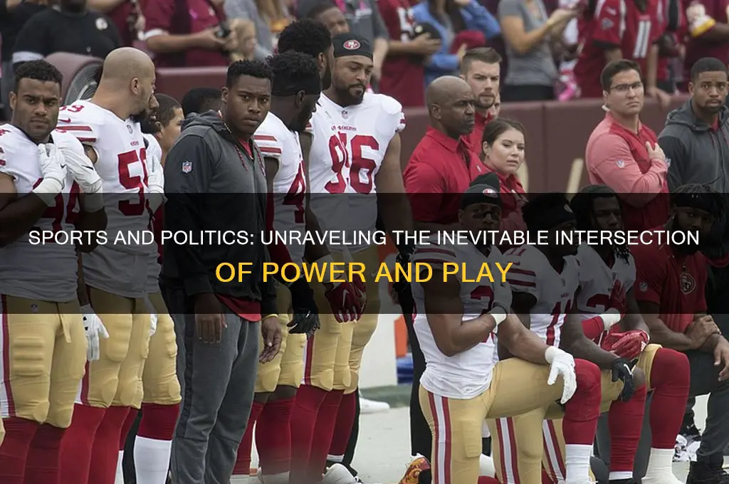 why sports and politics mix