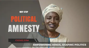 Ending Political Amnesty: Upholding Accountability for a Just Society