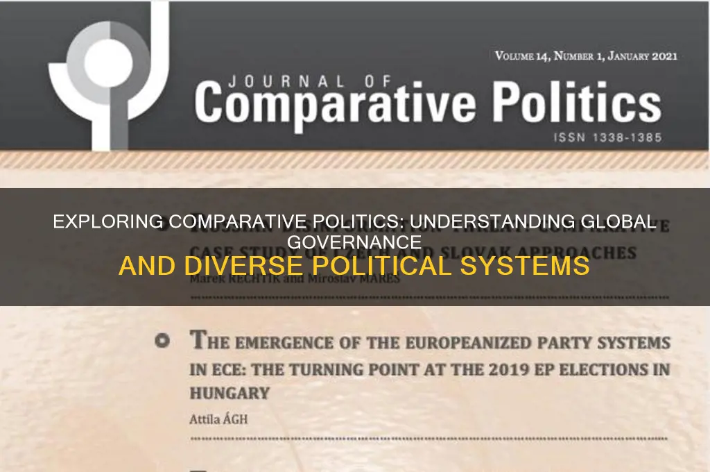 why study comparative politics