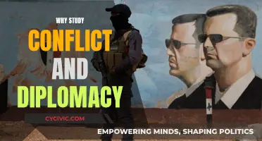 Conflict and Diplomacy: Understanding Global Interactions