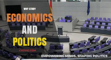 Understanding Economics and Politics: Shaping Societies, Policies, and Global Futures