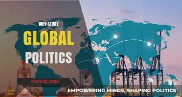 Understanding Global Politics: Shaping Our Interconnected World and Future