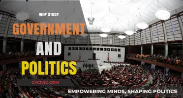 Understanding Power: Why Study Government and Politics Matters Today