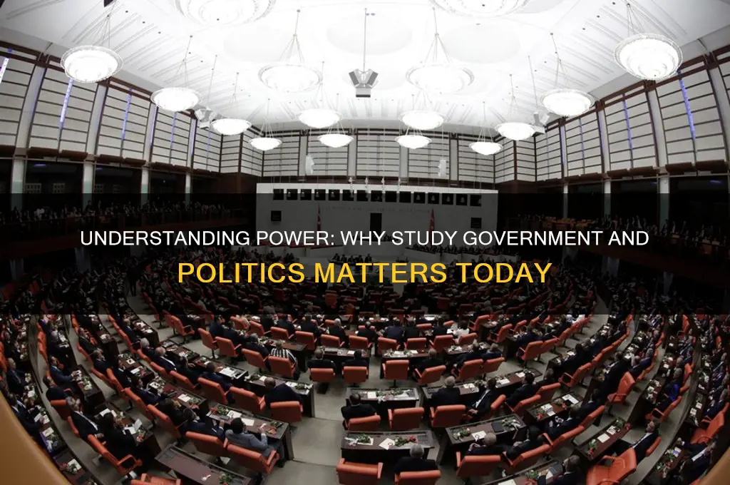 why study government and politics