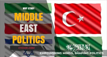 Understanding Middle East Politics: Key Insights for Global Stability