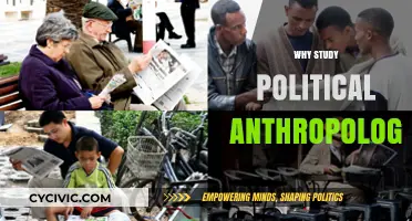 Exploring Power, Culture, and Society: The Importance of Political Anthropology