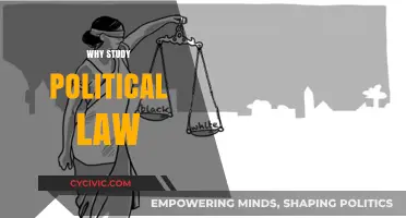 Understanding Political Law: Shaping Societies, Policies, and Governance