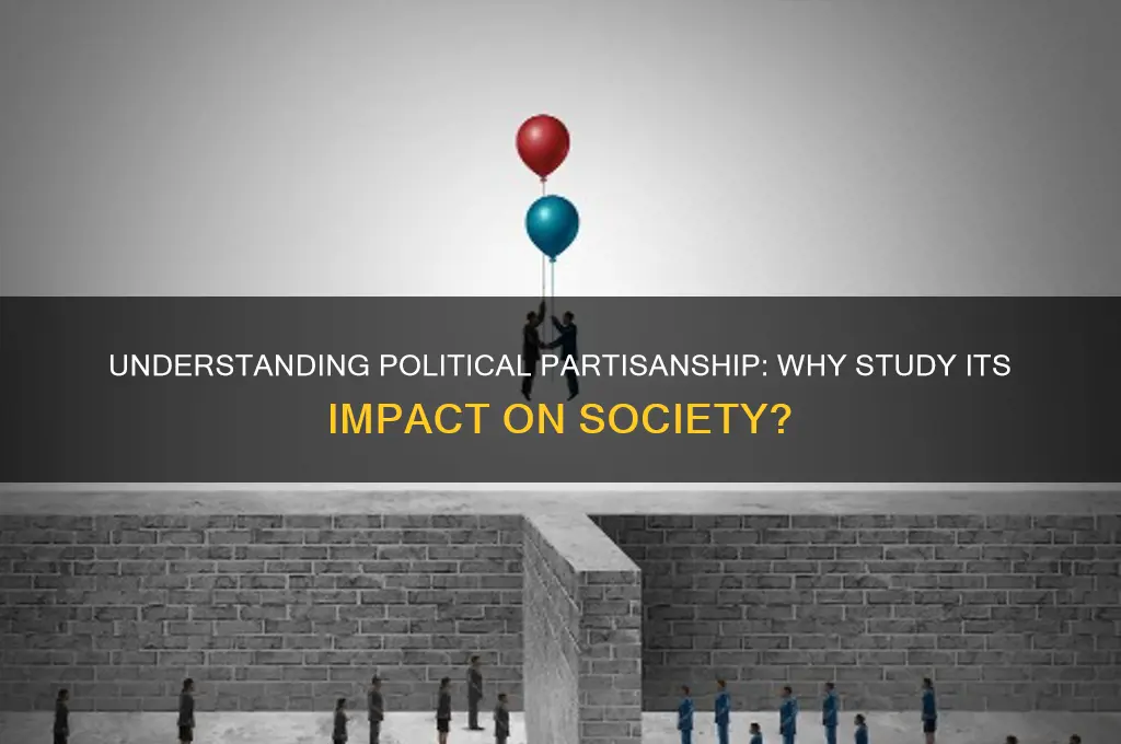 why study political partisanship