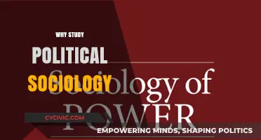 Understanding Power Dynamics: Why Study Political Sociology Matters Today