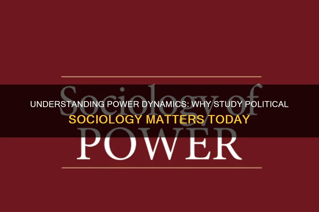 why study political sociology