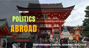 Explore Global Perspectives: Why Study Politics Abroad for Insight