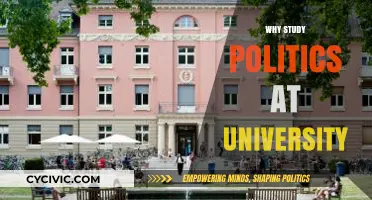 Unlocking Power Dynamics: Why Study Politics at University?