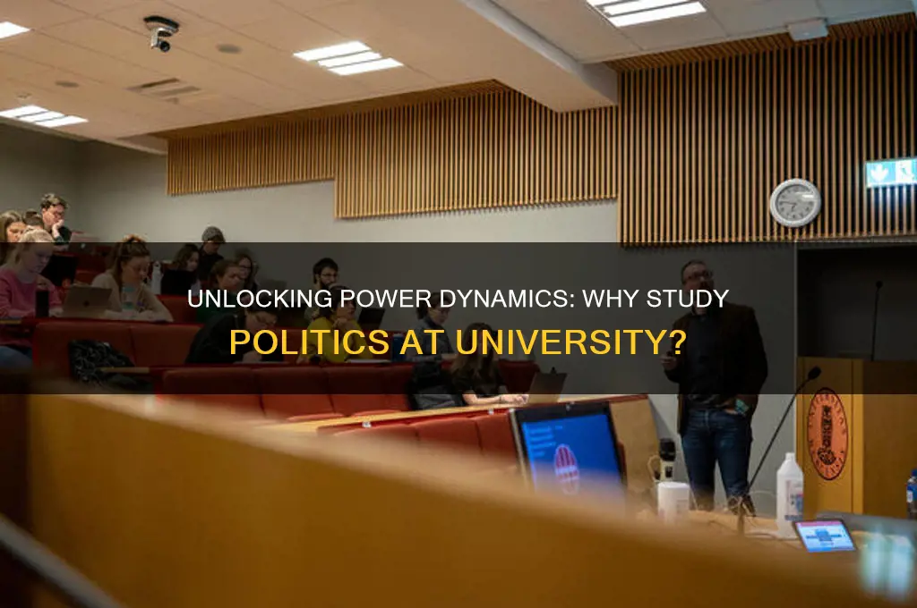why study politics at university