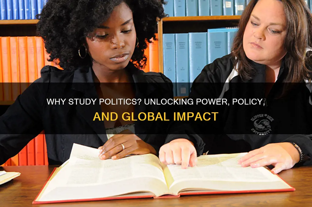 why study politics essay