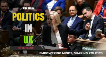Exploring UK Politics: Why Study the Heart of Democracy?