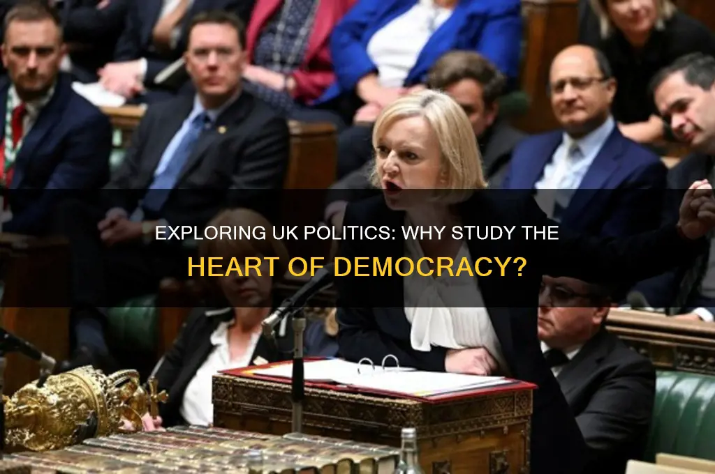 why study politics in uk