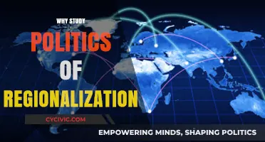 Understanding Regionalization: Exploring the Politics Shaping Local and Global Dynamics