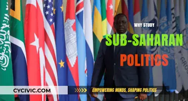 Exploring Sub-Saharan Politics: Understanding Africa's Dynamic Political Landscape