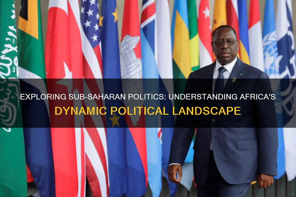 why study sub-saharan politics