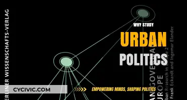 Understanding Urban Politics: Shaping Cities, Communities, and Future Governance