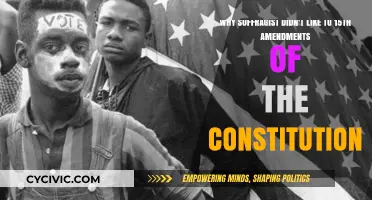 Suffragists' Dislike for the 15th Amendment: A Historical Perspective