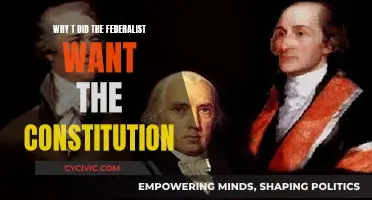 Federalists' Constitution: Power and Unity