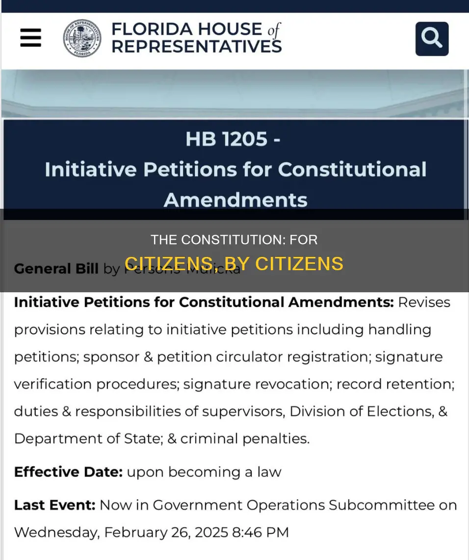 why the constitution is only applicable to legal citizens