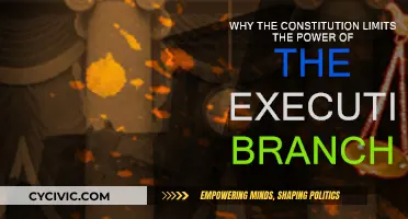 Executive Power: The Constitution's Limits Explained