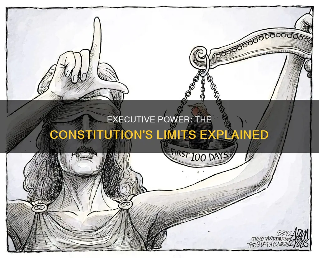 why the constitution limits the power of the executive branch