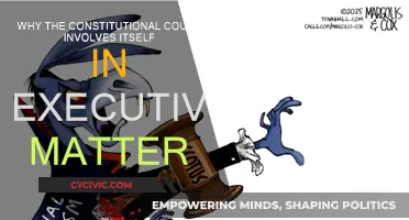 The Court's Role: Executive Matters and the Constitution