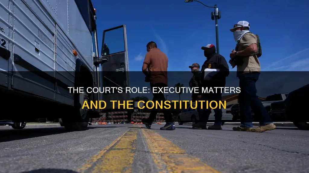 why the constitutional court involves itself in executive matter