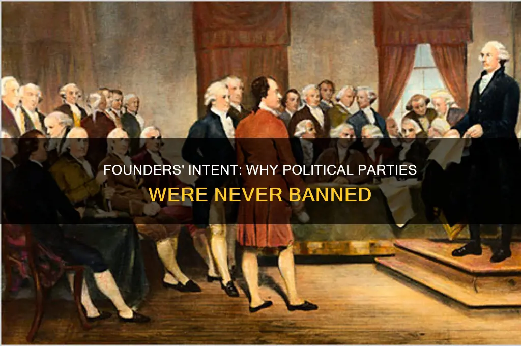 why the founders did not ban political parties