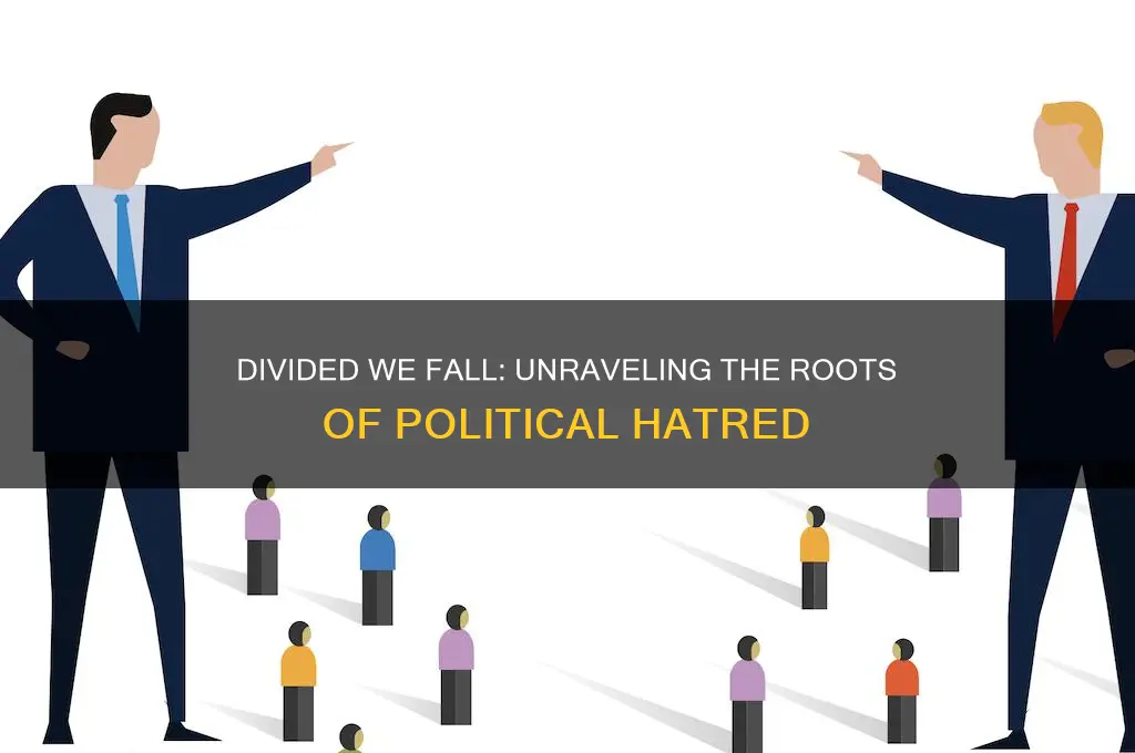 why the political hate