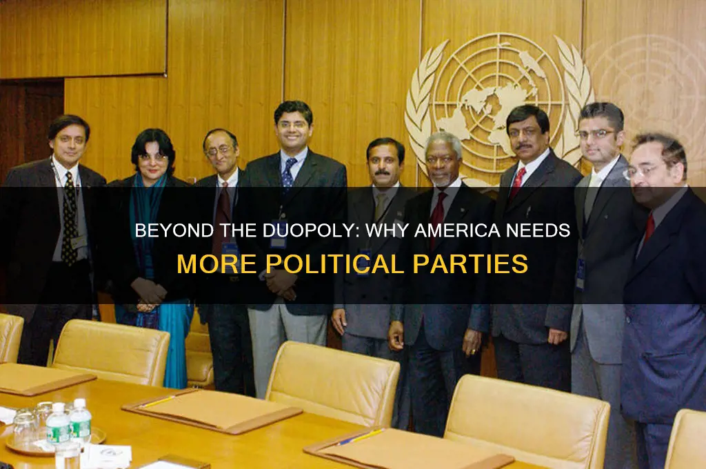 why the us should have more than 2 political parties