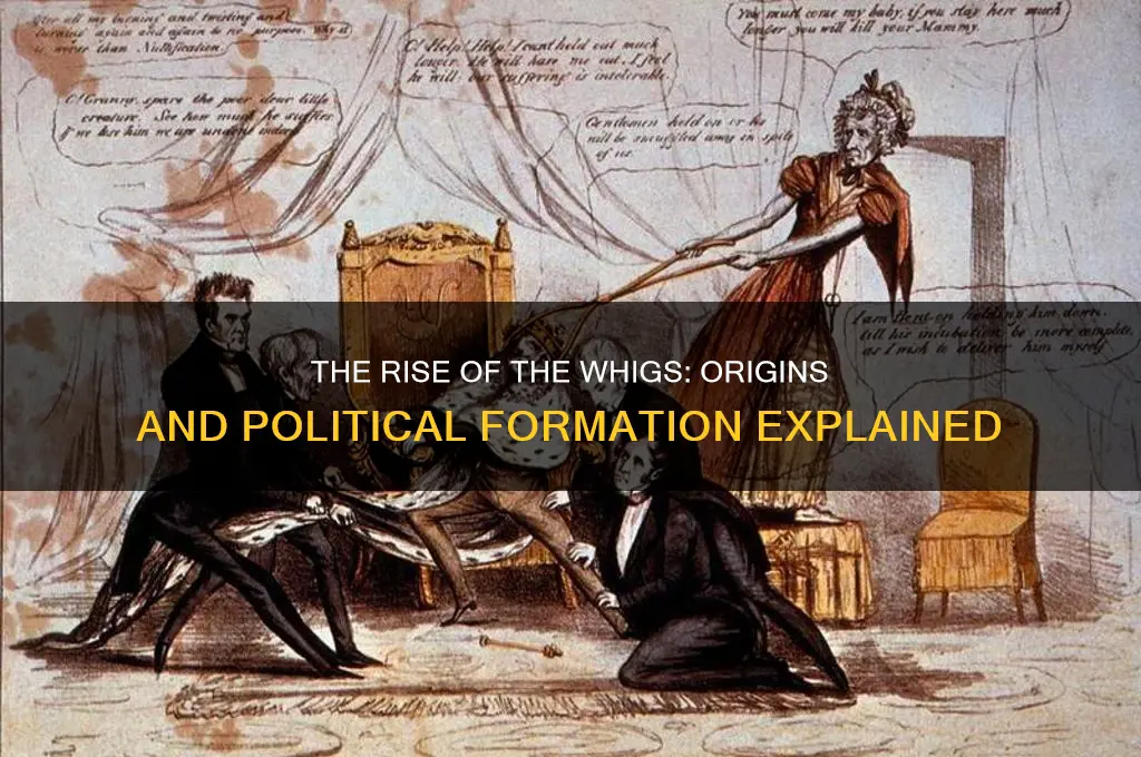 why the whig political party was formed